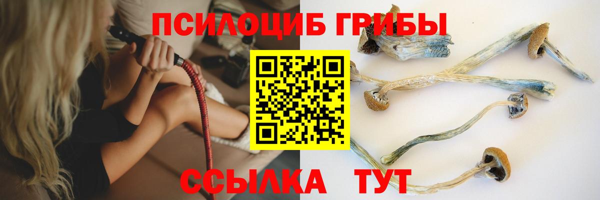 Ессентуки  Псилоцибиновые грибы мухоморы  цена наркотик  Вход с VPN 